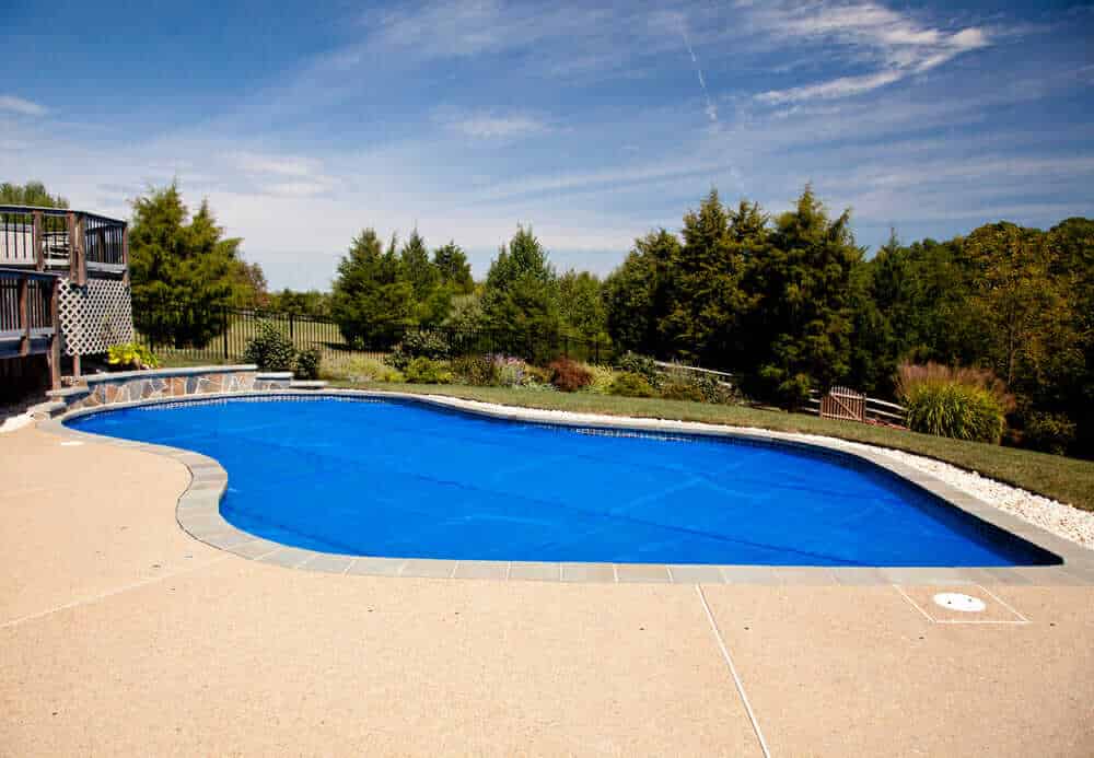 Kidney Shaped Pool